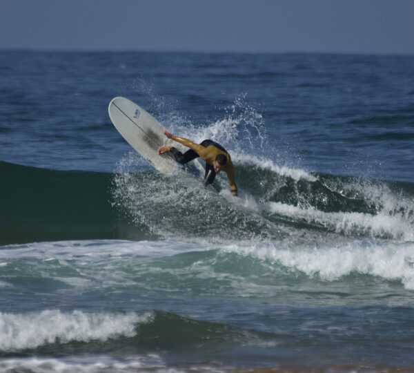 Foto 28-11-25, 12 37 28